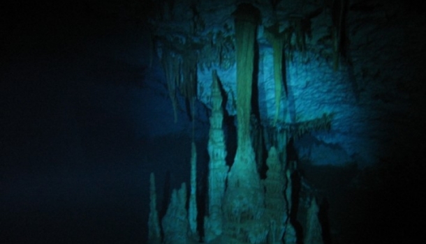 Dive into the Mayan Blue: Exploring Cenote Escondido in Tulum - Mayan Blue: The Magic of Cenote Escondido in Tulum