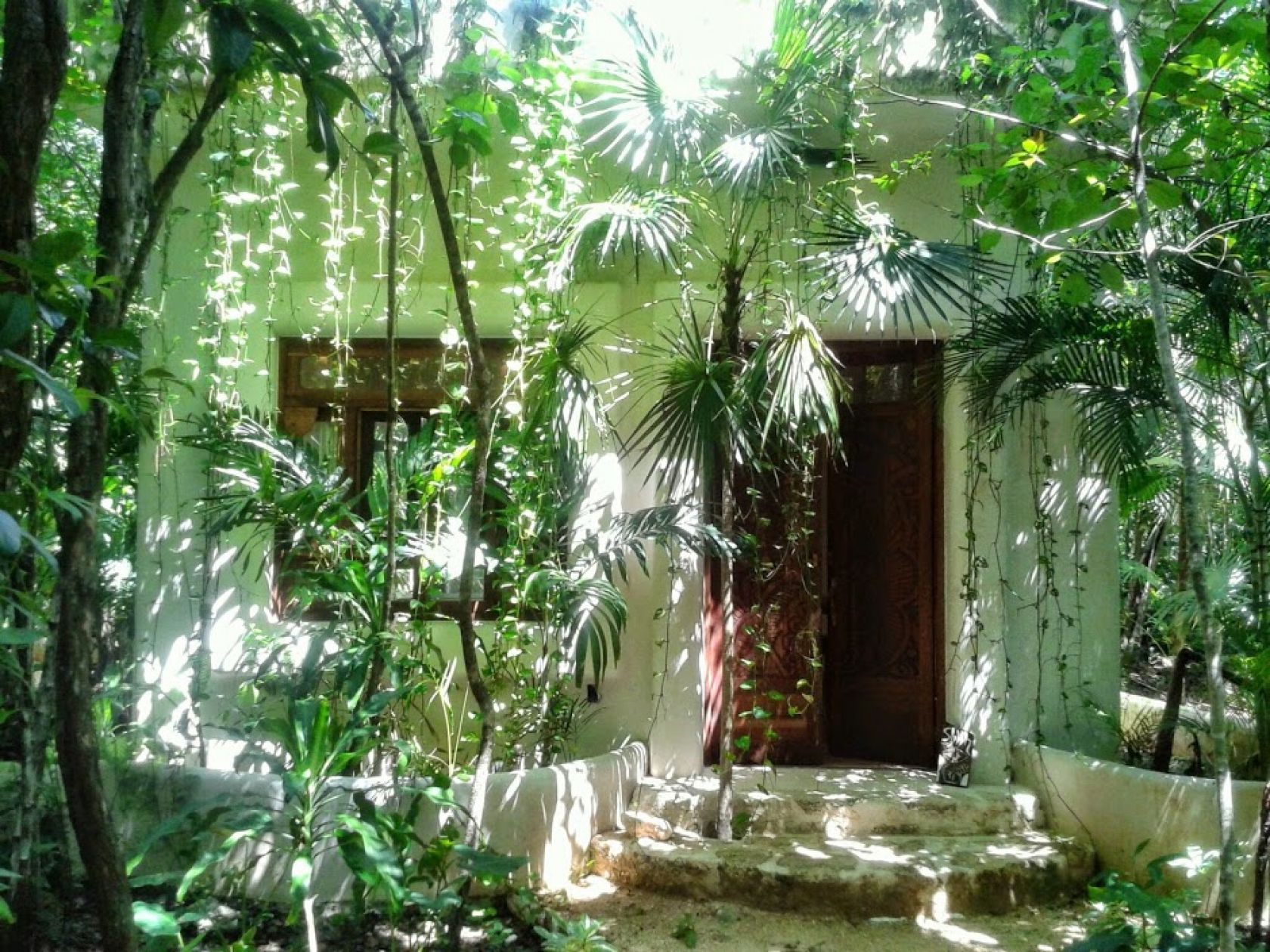 tulum mexico real estate zillow