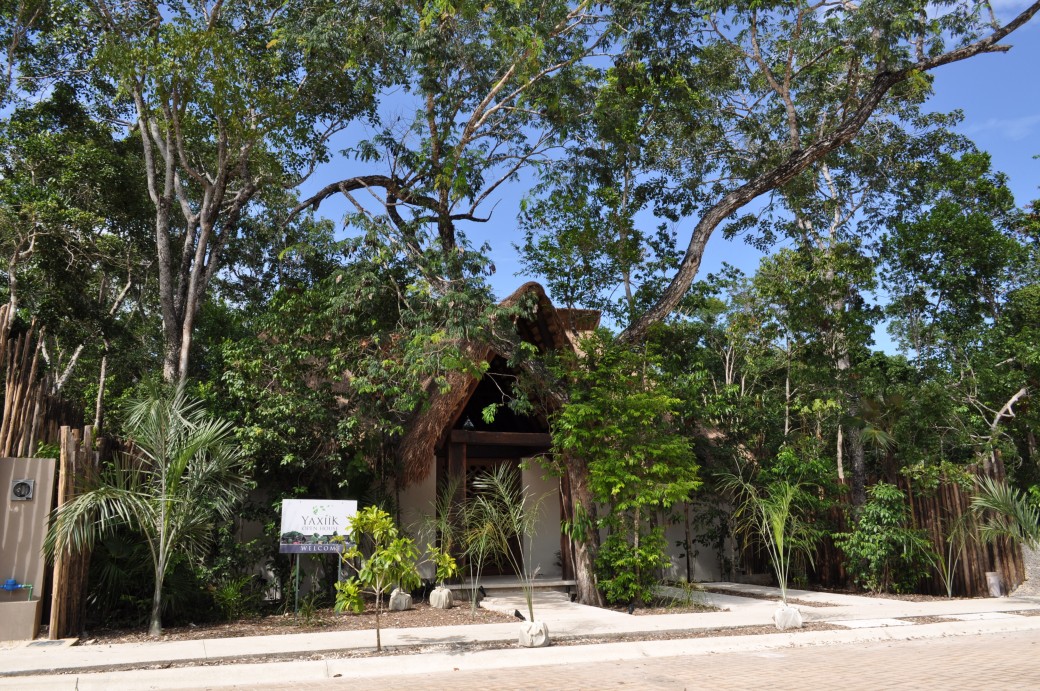 tulum beach real estate