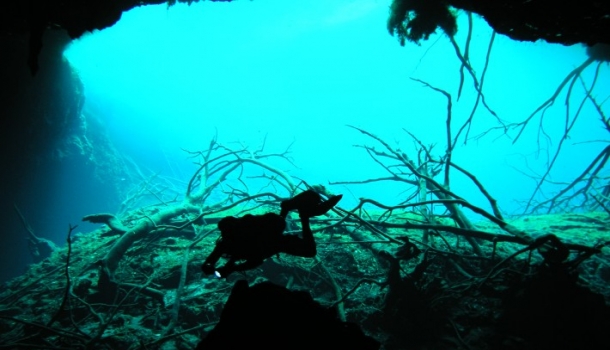 Cenotes Cenote Carwash Aktun Ha - todotulum.com