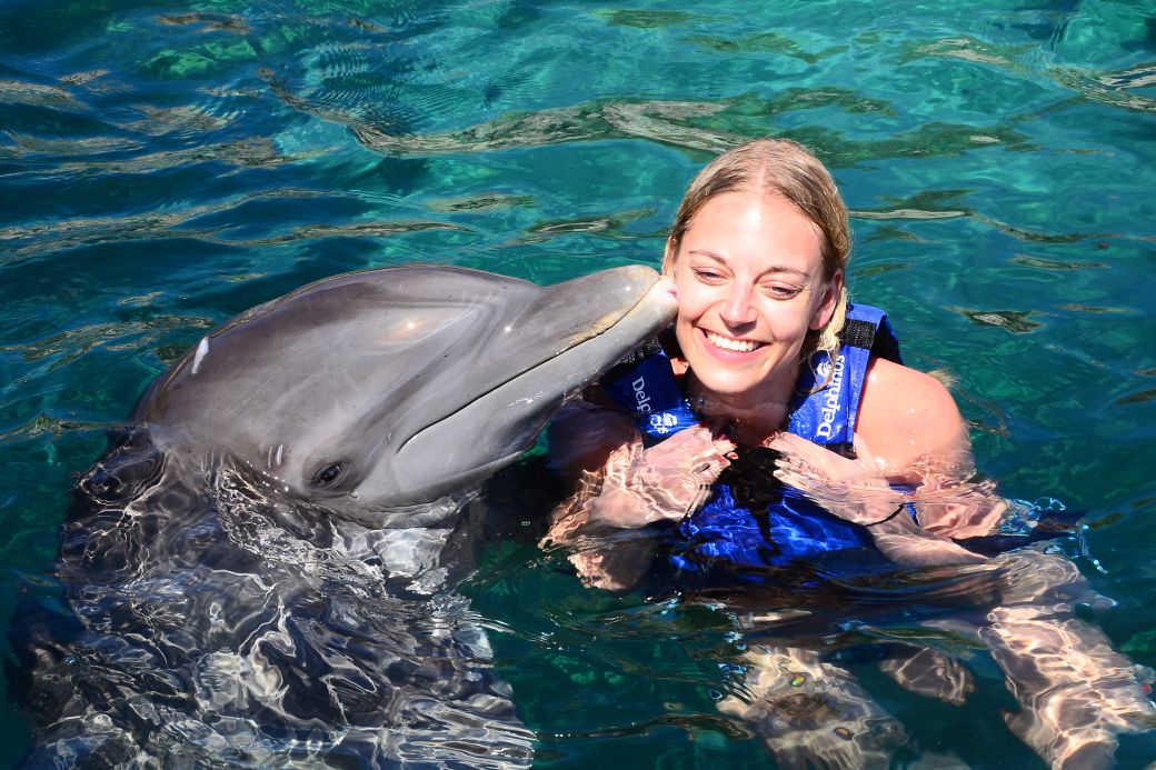 Tulum Swim With Dolphins - todotulum.com